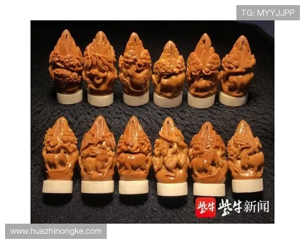 带儒的足球明星名字揭示了文化与运动的完美结合与传承之道